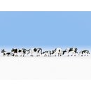 NOCH 15721 Kühe, schwarz-weiß H0