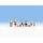 NOCH 15872 Wanderer H0