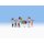 NOCH 15982 Portugiesische Fans H0