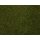NOCH 07282 Wildgras-Foliage G,0,H0,TT,N,Z