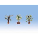NOCH 14023 Mediterrane Pflanzen H0