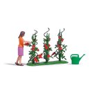 Busch 7876 Tomatenernte H0