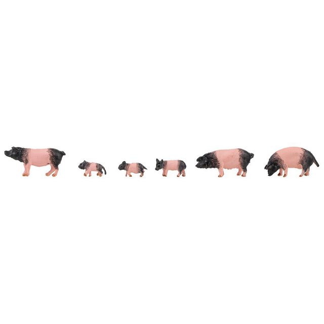 Faller 151916 6 Schwäbisch-Hällische Landschweine H0
