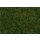 Faller 170208 H0 Streufasern Wildgras, dunkelgrün, 4 mm, 30 g