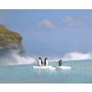 Busch 7923 A-Set: Pinguine auf Eis H0
