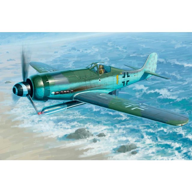 HobbyBoss 081720 1/48 Focke-Wulf FW 190 D12R14