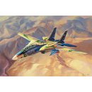 HobbyBoss 081771 1/48 F-14A Tomcat, Persian Cat