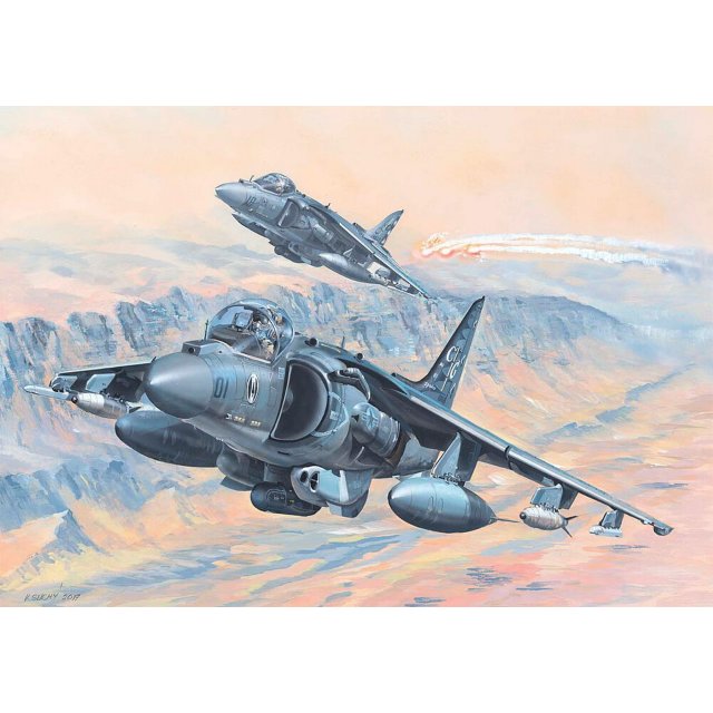 HobbyBoss 081804 1/18 AV-8B Harrier II