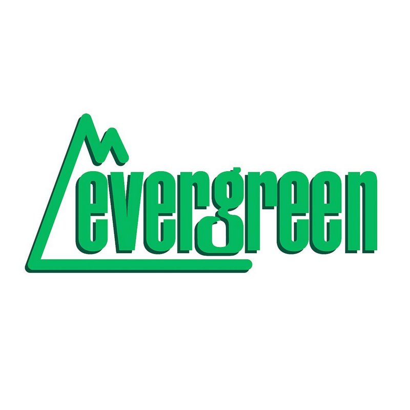 Evergreen 3035 Strukturplatte, 0,5x150x300 mm. Spur S-Maßstab, 1 Stüc ...
