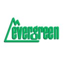 Evergreen 14041 Bretter-Verschalung, 300x600x1,0 mm,...