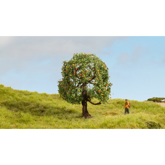 Noch  20145 Apfelbaum G,1,0,H0,TT,N,Z