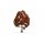Noch  20150 Rotbuche G,1,0,H0,TT,N,Z