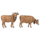 Pola 331554 Allgäuer Braunvieh
