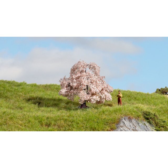 NOCH 20147 Kirschbaum G,1,0,H0,TT,N,Z,H0E,H0M