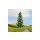 NOCH 20193 Fichte G,1,0,H0,TT,N,Z,H0E,H0M