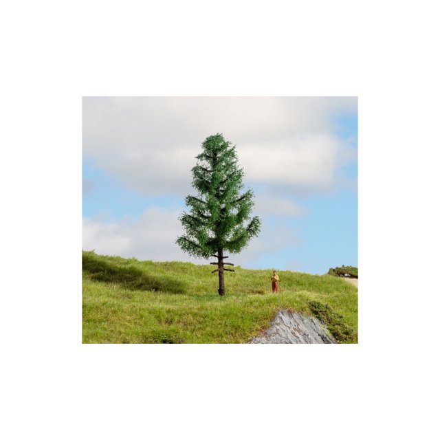NOCH 20195 Hochstammfichte G,1,0,H0,TT,N,Z,H0E,H0M