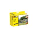 Noch 60137 Gras-Stempel G,1,0,H0,TT,N,Z