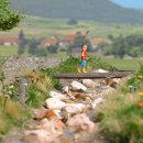 Busch 79819 A-Set: Spielen am Waldbach H0