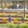 Busch 79922 A-Set: Rangierer&Wagenm.Ep.3-