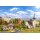 Faller 239010 Aktions-Set Dorf