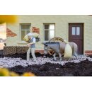 Pola 331533 Müller mit Esel