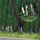 Busch 1217 Wild-Lupinen H0