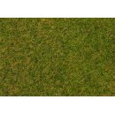 Faller 170215 Grasfasern, Frühsommerwiese, 4 mm, 20 g