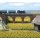Busch 8103 Sonnenblumen N
