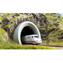 Busch 8194 ICE-Tunnelportal N